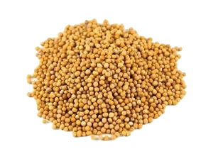 Mustard Seeds